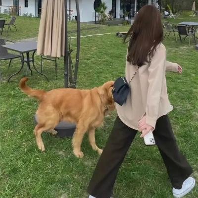钢铁勋章