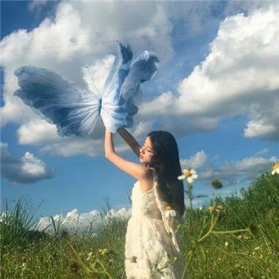 八面玲珑的申小姐
